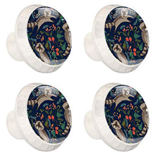 Maniglie per cassetti Manopole per cassetti Manopole rotonde Confezione da 4 per armadietto, cassetti, cassettiere, cassettiere ecc - procione