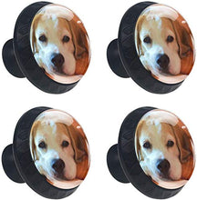 Pittura Beagle Dog Lovely Pomelli per Porta Set di 4 Pomelli per Mobili Manopole per Cassetti Cucina Armadio Vetro