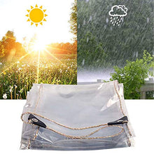 GOODLUKE Telone Trasparente Impermeabile, Tela Pioggia Telo in Plastica PVC Clear Resistente con Occhielli, Coperture in Fogli per Piante da Fiore per Esterno Interno (0,35 mm & 450g/m²),100x150cm
