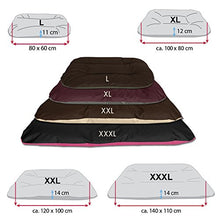 BedDog® 2 in 1 Letto per Cane Rex L Fino a XXXL, 9 Colori a Scelta, Cuscino, Divano, Cestino per Cane, Marrone/Nero L