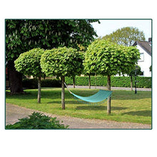 Luxurygarden Amaca da Giardino per Esterno, Moderna Design Macrame, Verde Acqua in Cotone e Poliestere | 200x100h