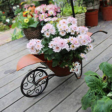 LJYY Carrello da Giardino con Decorazione Artistica Espositore per Piante da Fiori Espositore per Fiori Antico Carrello in Stile