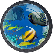 Imposta Ocean Fish Coral Reef Pomelli per Porta Set di 4 Pomelli per Mobili Manopole per Cassetti Cucina Armadio Vetro