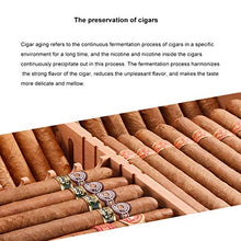XYF Custodia per humidor per sigari Vernice per Pianoforte Scatola per humidor Portatile da Viaggio per sigari in Legno di Cedro con igrometro e umidificatore, Vassoio Rimovibile in Cedro