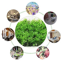 SOWLFE  Pannelli di Schermo per siepi Artificiali, Rotolo di Pannelli per Recinzione da Giardino per schermatura della Privacy per siepi di Foglie di edera Artificiale 60X40CM, 1 Confezione Comfy