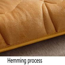 GCP Peluche Studente Materasso Futon,Caldo Confortevole Giapponese Ospite Tappetino,Pieghevole Tatami Sleeping Pad