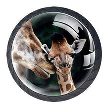 Madre giraffa bambino 4 PCS Pomelli per Porta, Pomolo per Mobile, Pomelli per Mobili con Viti, Maniglia per Armadietto, Pomelli per Porta, Pomelli per Cassetti per Porta, Armadio, Cassetto e Credenza