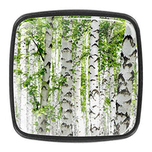 Betulla foresta alberi primavera foresta Pomelli per Porta Set di 4 Pomelli per Mobili Manopole per Cassetti Cucina Armadio Vetro