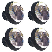 Ciao orso ciao 4 PCS Pomelli per Porta, Pomolo per Mobile, Pomelli per Mobili con Viti, Maniglia per Armadietto, Pomelli per Porta, Pomelli per Cassetti per Porta, Armadio, Cassetto e Credenza