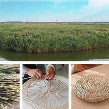 AYCYNI Cuscino da Pavimento Tatami, Stile Giapponese Traspirante Traspirante Traspirante Rotondo futon futon futon futon Vela Navigazione dial 23.62 Pollici, Tazza di Mais,Cattail of Straw.