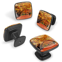 Acero d'autunno 4 PCS Pomelli per Porta, Pomolo per Mobile, Pomelli per Mobili con Viti, Maniglia per Armadietto, Pomelli per Porta, Pomelli per Cassetti per Porta, Armadio, Cassetto e Credenza