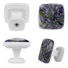 lavanda 4 PCS Pomelli per Porta, Pomolo per Mobile, Pomelli per Mobili con Viti, Maniglia per Armadietto, Pomelli per Porta, Pomelli per Cassetti per Porta, Armadio, Cassetto e Credenza