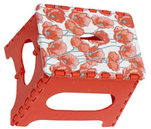 Arregui TB-027-D1 - Sgabello pieghevole da 27 cm di altezza, papavero, 27 x 29 x 22 cm (altezza x larghezza x profondità)