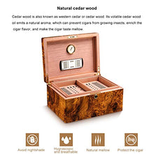 XYF Custodia per humidor per sigari Vernice per Pianoforte Scatola per humidor Portatile da Viaggio per sigari in Legno di Cedro con igrometro e umidificatore, Vassoio Rimovibile in Cedro