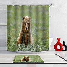 Combinazione Bagno. Immagini Chiare E Colori Vivaci Rendono Il Tuo Bagno Pieno di Vita. Accessori da Bagno. L'Orso Sull'Erba.