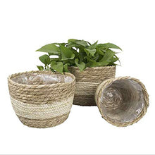 Duless - Cestino per fiori in paglia verde, per piante fresche in rattan e bambù, decorazione