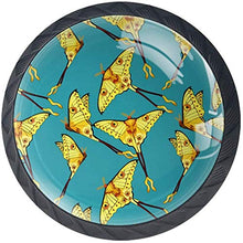 Modello di farfalla giallo di volo libero blu Pomelli per Porta Set di 4 Pomelli per Mobili Manopole per Cassetti Cucina Armadio Vetro