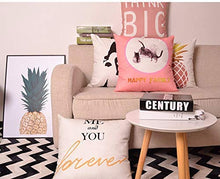 Houlipeng Boston terriermint Boston Terriers Cute Dog Best Dog Cushion Cover, Home Decoration Sofa Waist Throw Pillow Case Cotton Cushion Cover 18 X 18 inch