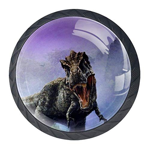 Wetia Dinosauro della Montagna Profonda per la Cucina di casa Armadio Armadio Armadio Nero 3,5 x 2,8 cm