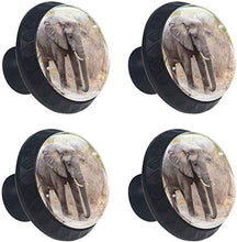 Elefante africano Grey Walking Forest Pomelli per Porta Set di 4 Pomelli per Mobili Manopole per Cassetti Cucina Armadio Vetro