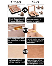 Legno di Cedro Viaggi Cigar Humidor Box con umidificatore igrometro Humidor Cigar Box teca di vetro Humidor Fit 20-30 Sigari