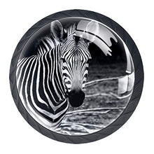 Zebra animale 4 PCS Pomelli per Porta, Pomolo per Mobile, Pomelli per Mobili con Viti, Maniglia per Armadietto, Pomelli per Porta, Pomelli per Cassetti per Porta, Armadio, Cassetto e Credenza
