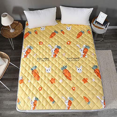 JYMBK Multi-Scopo Tatami Materasso Tessere Materasso da Terra Dual-Utilizzare Materassi Letto Futon Cuscino Sottile Non-Scivolare Dormire Pad per Soggiorno Dormitorio F 90x200cm(35x79inch)