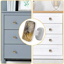 Zebra retrò 4 PCS Pomelli per Porta, Pomolo per Mobile, Pomelli per Mobili con Viti, Maniglia per Armadietto, Pomelli per Porta, Pomelli per Cassetti per Porta, Armadio, Cassetto e Credenza