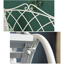 Panchina per terrazza del parco Panchine per il tempo libero all'aperto, Panchina da giardino in ghisa resistente alle intemperie e antiruggine, Panchina da cortile a 2 posti con cesto portaoggetti,