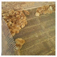 Recinto di Plastica Animale,Maglia Bianca Reti da Pollame per Recinti per Animali Domestici E Animali Selvatici Adatto per Animali Domestici Verdure Piante e Reti per La Protezione Delle Colture