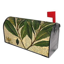 Stampa botanica su vecchia pagina del libro dal design unico per cassetta delle poste, copertina magnetica per giardino e cortile, dimensioni standard 53 x 45 cm
