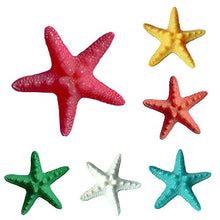 QULONG Ornamenti da Giardino Outdoor 5Pcs Resina Starfish Ornament Beach Ocean Sea Star Decorazione da Parete per la casa - Giallo