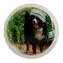 Maniglie per cassetti Manopole per cassetti Manopole rotonde Confezione da 4 per armadietto, cassetti, cassettiere, cassettiere ecc - Cane
