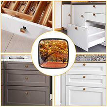 Acero d'autunno 4 PCS Pomelli per Porta, Pomolo per Mobile, Pomelli per Mobili con Viti, Maniglia per Armadietto, Pomelli per Porta, Pomelli per Cassetti per Porta, Armadio, Cassetto e Credenza