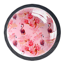 Set di 4 maniglie rotonde per armadio da cucina, credenza, cassettiera, cassettiera, con viti, per cucina, comò, armadio, bagno, armadio, fenicottero rosa