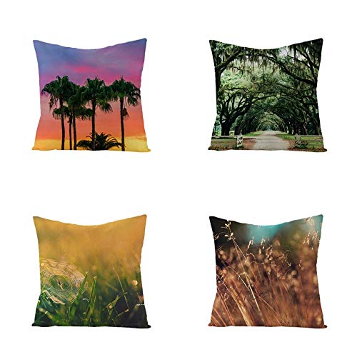 Federe Cuscini Divano 45X45,Fodere Per Cuscini Con Stampa Di Foglie Verdi Di Piante Tropicali Nordiche, Fodere Per Cuscini Lombari Per Divano Da Soggiorno Per Ufficio, Decorazioni Per La Casa Set Di 4