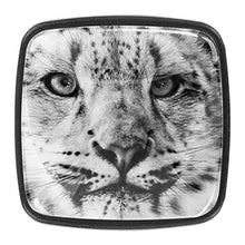 leopardo delle nevi 4 PCS Pomelli per Porta, Pomolo per Mobile, Pomelli per Mobili con Viti, Maniglia per Armadietto, Pomelli per Porta, Pomelli per Cassetti per Porta, Armadio, Cassetto e Credenza