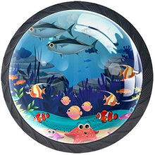 Alghe Di Pesce E Barriere Coralline Pomelli per Porta Set di 4 Pomelli per Mobili Manopole per Cassetti Cucina Armadio Vetro