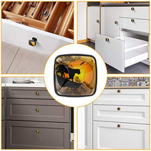 Silhouette leopardo 4 PCS Pomelli per Porta, Pomolo per Mobile, Pomelli per Mobili con Viti, Maniglia per Armadietto, Pomelli per Porta, Pomelli per Cassetti per Porta, Armadio, Cassetto e Credenza