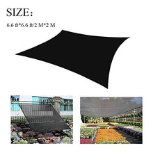 BeGrit Sun Panno Parasole Nero con Tessitura a Rete, Resistente ai Raggi UV e Protettivo per Fiori e Piante da Giardino 50% di ombreggiatura 6,6ft x 6,6ft