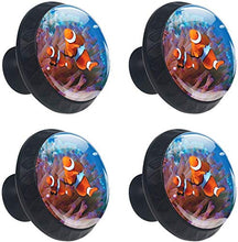 Ocean Fish Coral Reef Pomelli per Porta Set di 4 Pomelli per Mobili Manopole per Cassetti Cucina Armadio Vetro