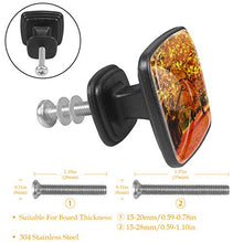 Acero d'autunno 4 PCS Pomelli per Porta, Pomolo per Mobile, Pomelli per Mobili con Viti, Maniglia per Armadietto, Pomelli per Porta, Pomelli per Cassetti per Porta, Armadio, Cassetto e Credenza