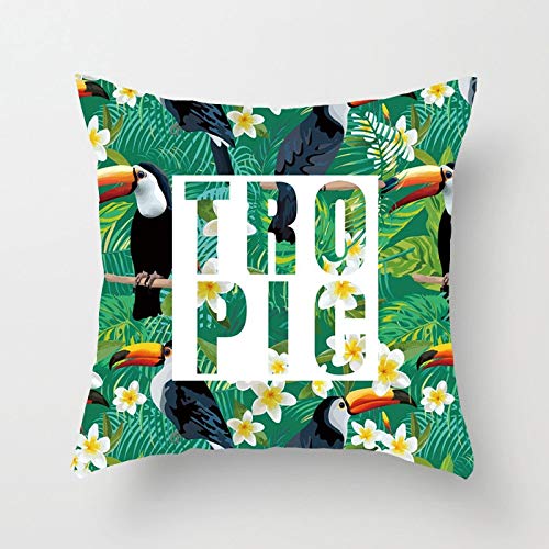 Hao~zhuo Cuscino Divano Decor for la casa Cactus Ananas o un'immagine Pianta Tropicale in Poliestere Cuscino Cuscini Decorativi Livong Camera Cuscino Cuscino Federa (Color : BZ47)