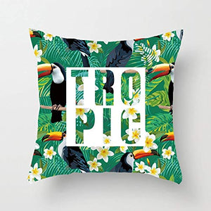Hao~zhuo Cuscino Divano Decor for la casa Cactus Ananas o un'immagine Pianta Tropicale in Poliestere Cuscino Cuscini Decorativi Livong Camera Cuscino Cuscino Federa (Color : BZ47)
