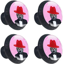 Bel signor gatto con abito nero cappello a cilindro rosso rosa Pomelli per Porta Set di 4 Pomelli per Mobili Manopole per Cassetti Cucina Armadio Vetro