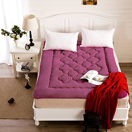 hxxxy Tatami,Dormitori Flanella Materasso Letto futon,Pieghevole-C 150x200cm(59x79inch)
