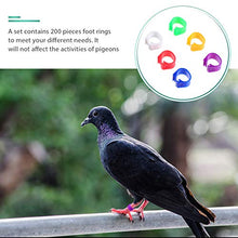 Cabilock 200Pcs Anelli di Piccione Vuoti Anello Colorato Piede Anello Gestione degli Uccelli Piccione Anello di Quaglia Strumenti di Alimentazione degli Animali Colorati