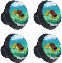 Alga subacquea di immersione subacquea della tartaruga di mare Pomelli per Porta Set di 4 Pomelli per Mobili Manopole per Cassetti Cucina Armadio Vetro