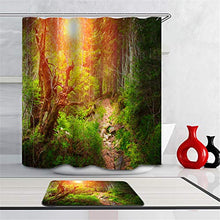 Combinazione Bagno. Immagini Chiare E Colori Vivaci Rendono Il Tuo Bagno Pieno di Vita. Accessori da Bagno. La Luce del Sole nella Foresta.
