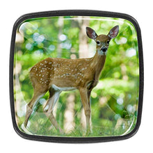 Fawn standing in the forest Pomelli per Porta Set di 4 Pomelli per Mobili Manopole per Cassetti Cucina Armadio Vetro
